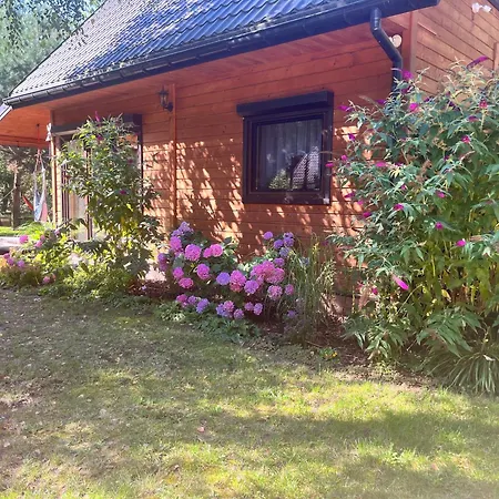 Letniskowy Jeziorsko * Kolonia Rzechta Wygoda